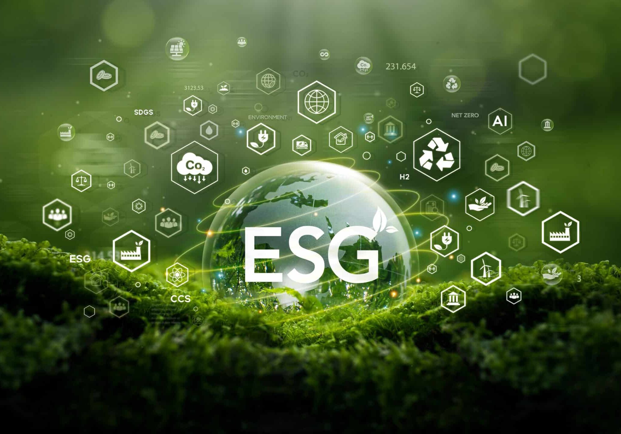 ESG Framework